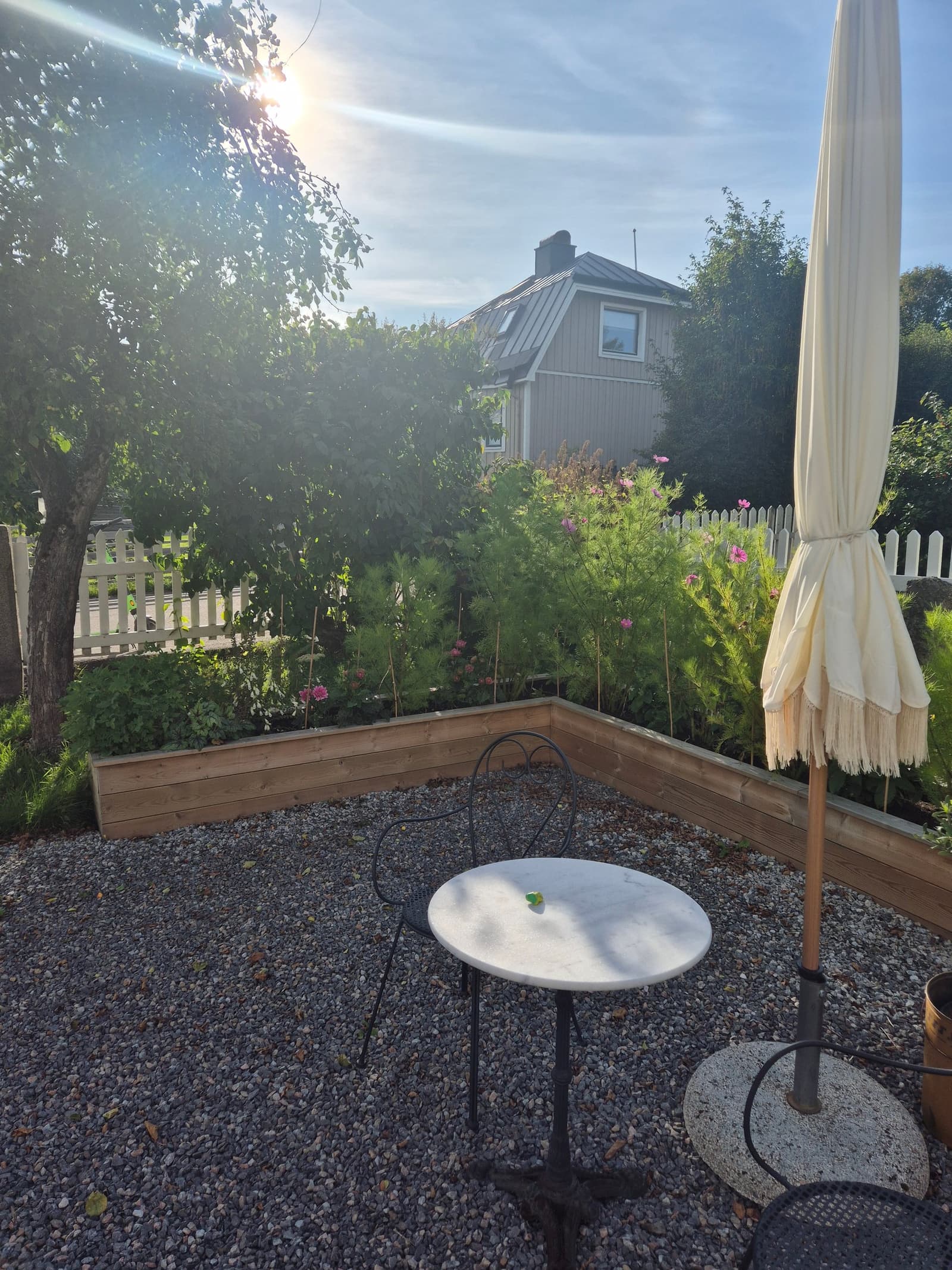 Photograph submitted by the reader
