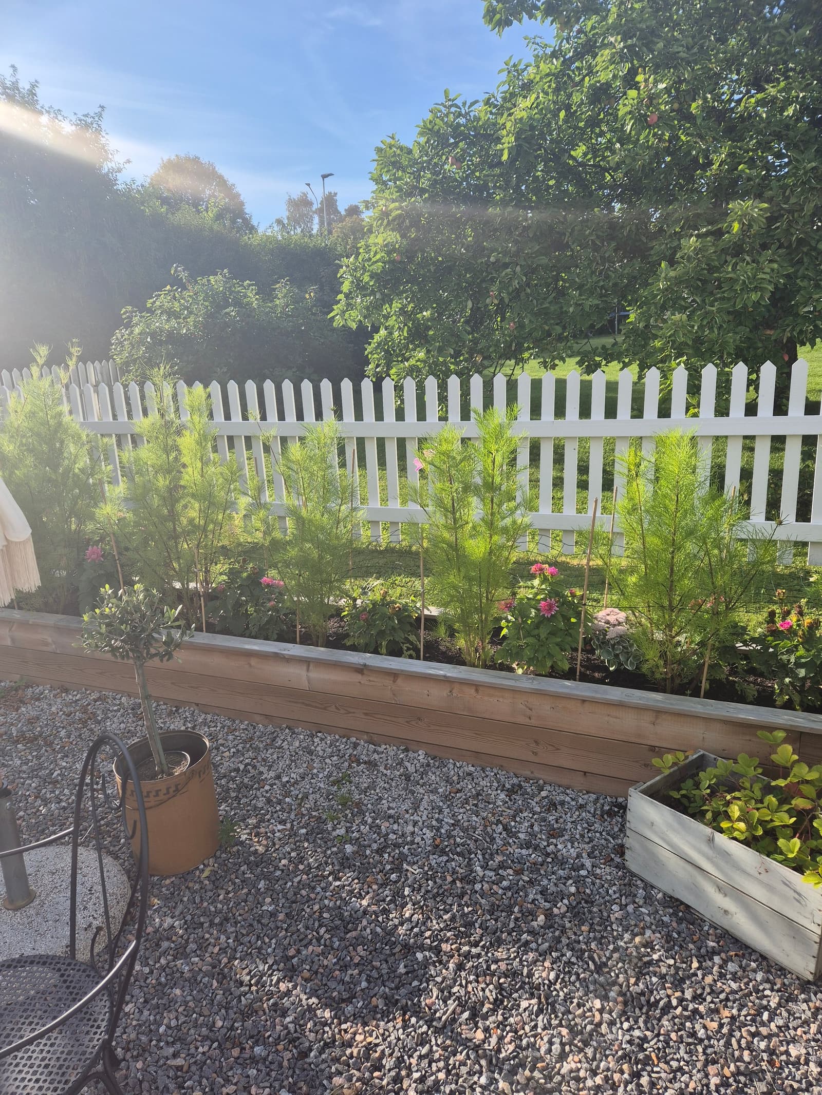 Photograph submitted by the reader
