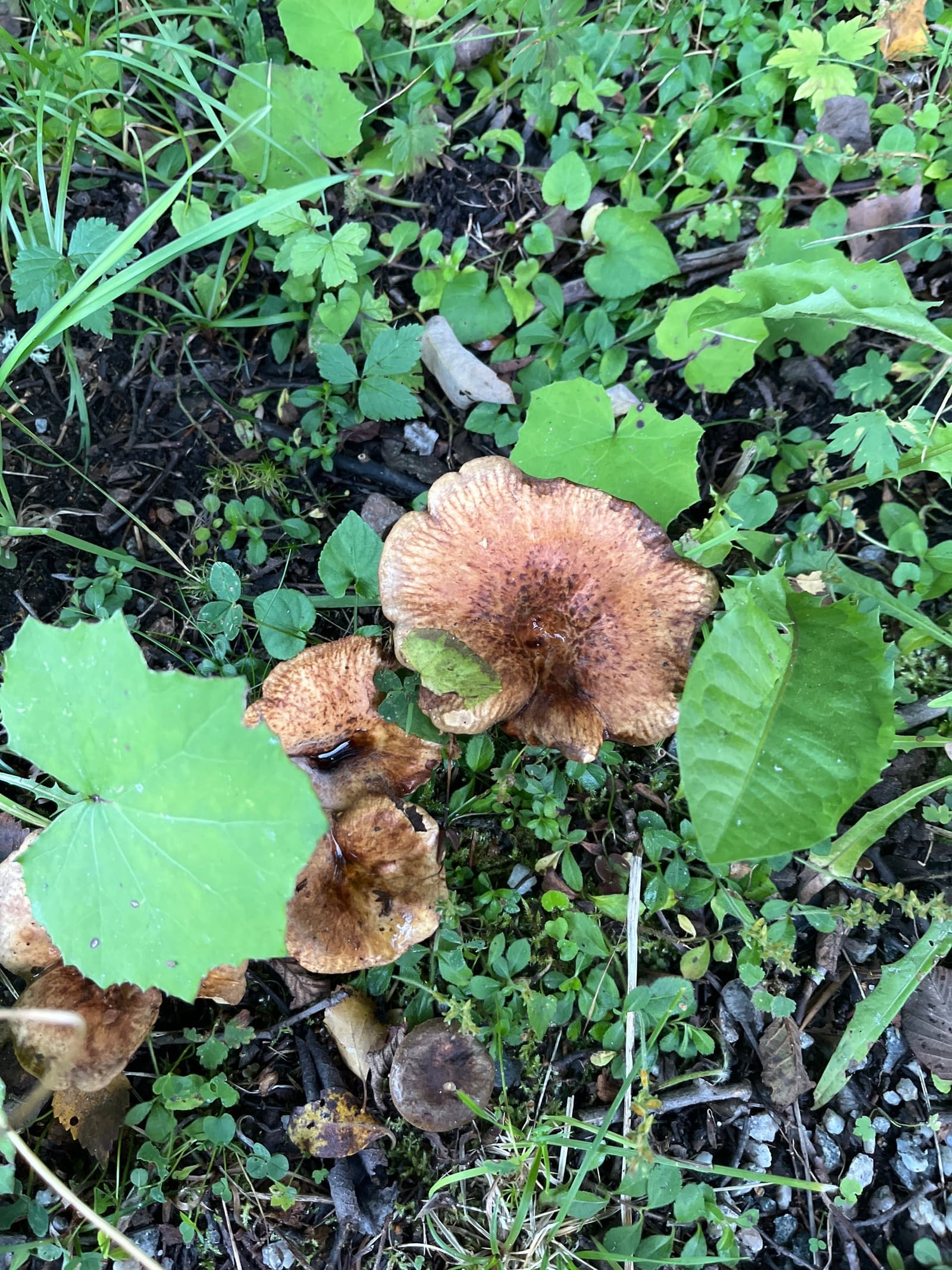 Photograph submitted by the reader