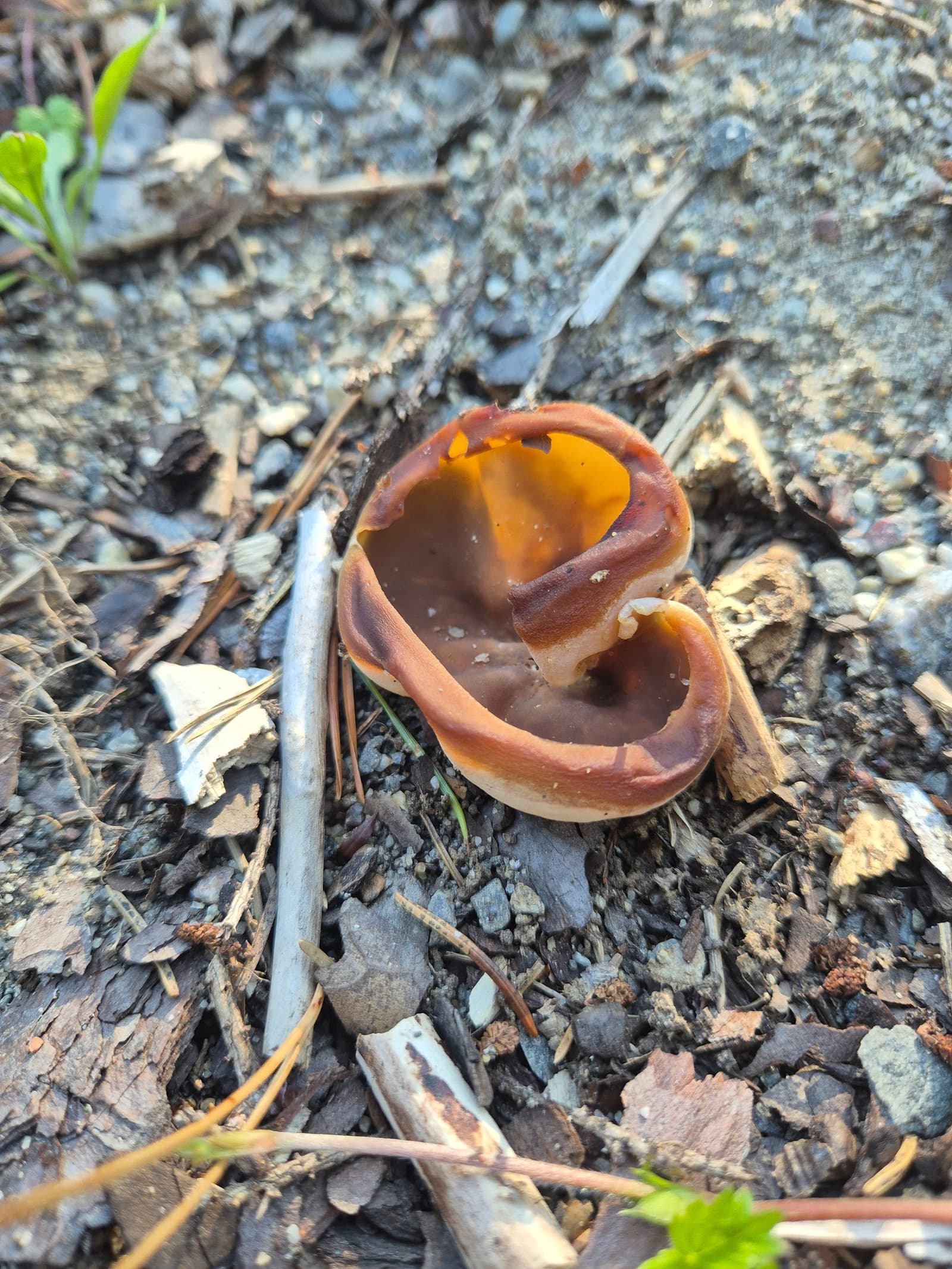 Photograph submitted by the reader