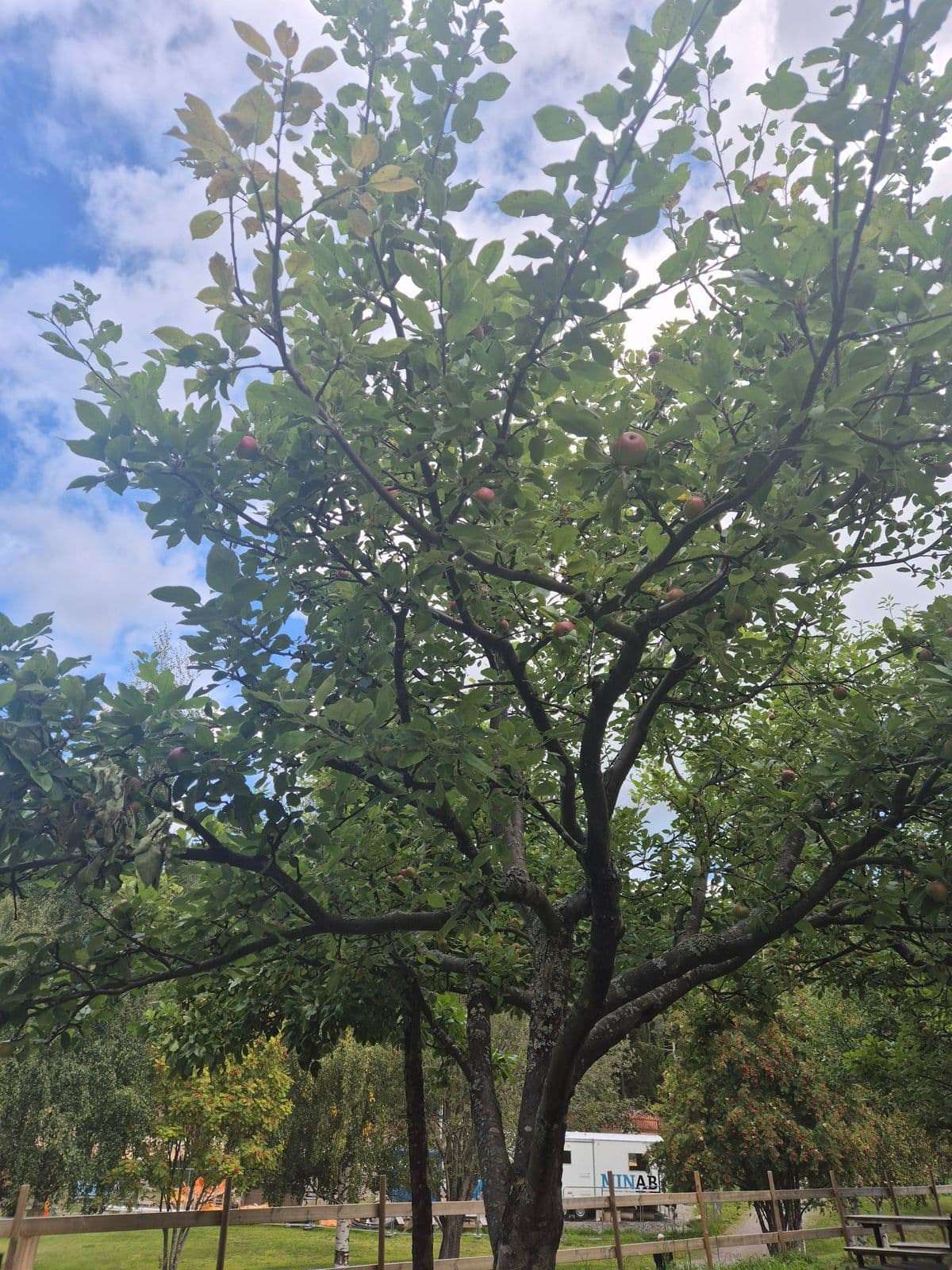 Photograph submitted by the reader
