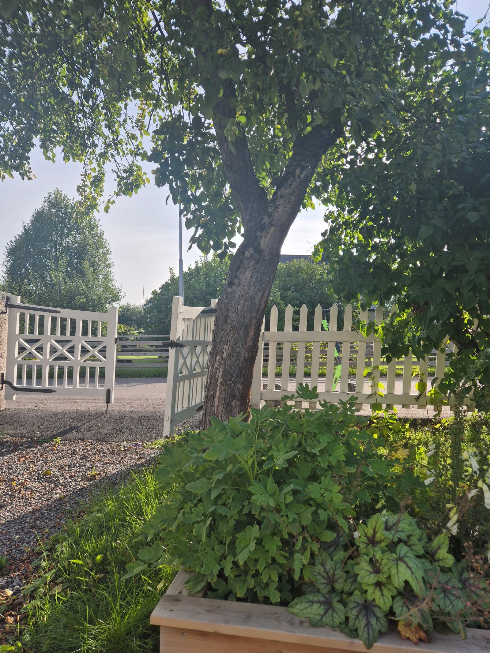 Photograph submitted by the reader