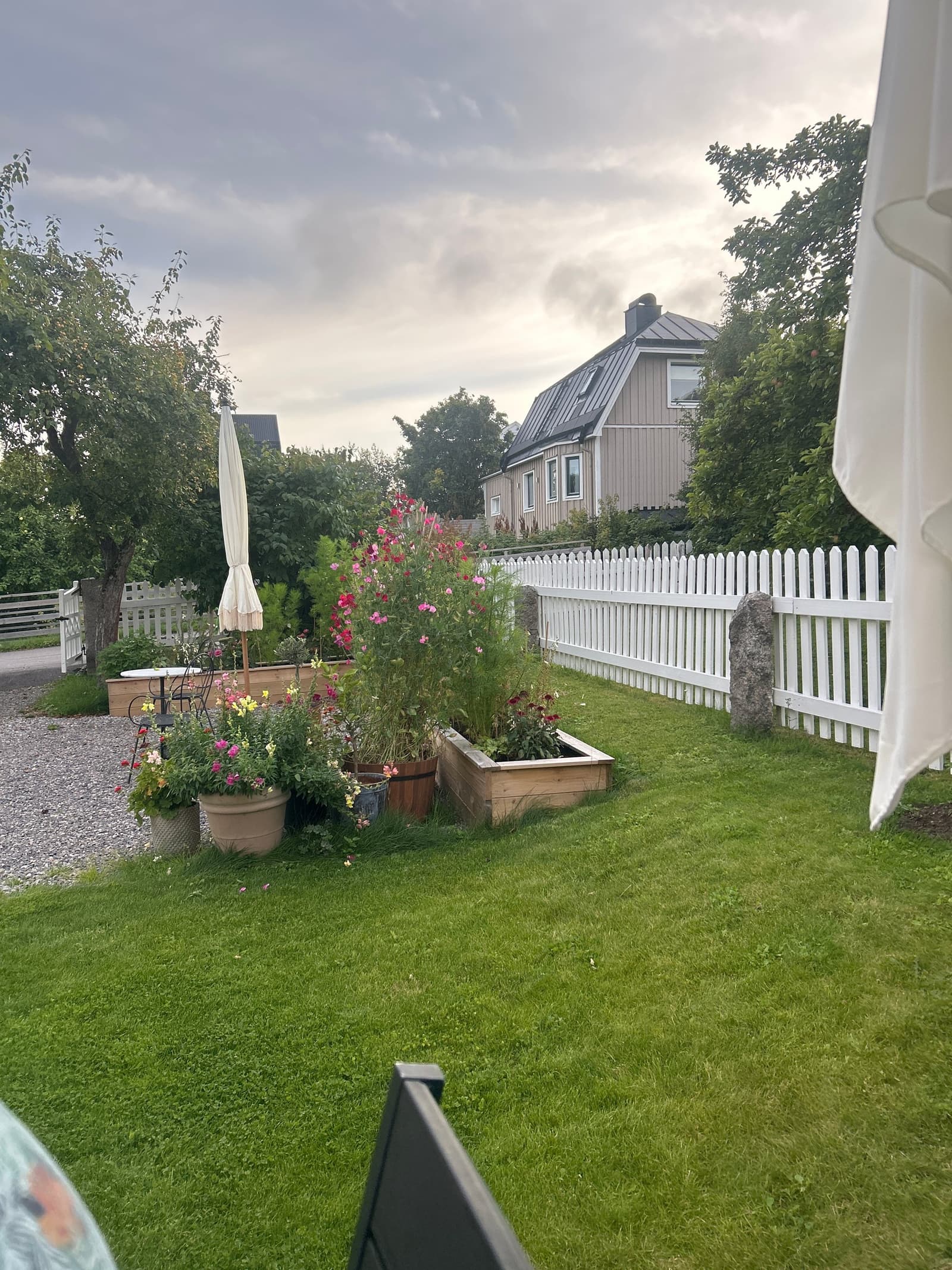 Photograph submitted by the reader