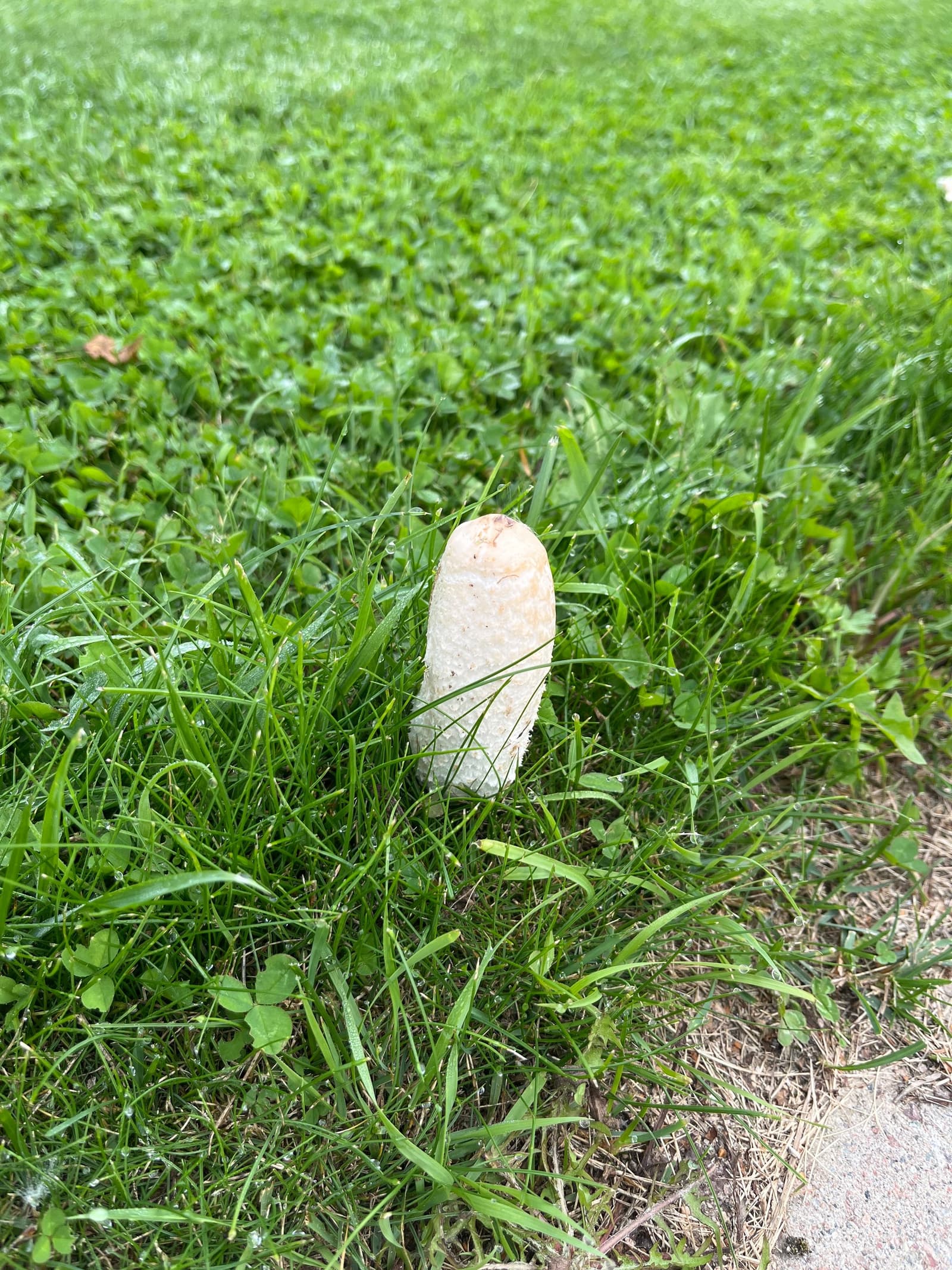 Photograph submitted by the reader