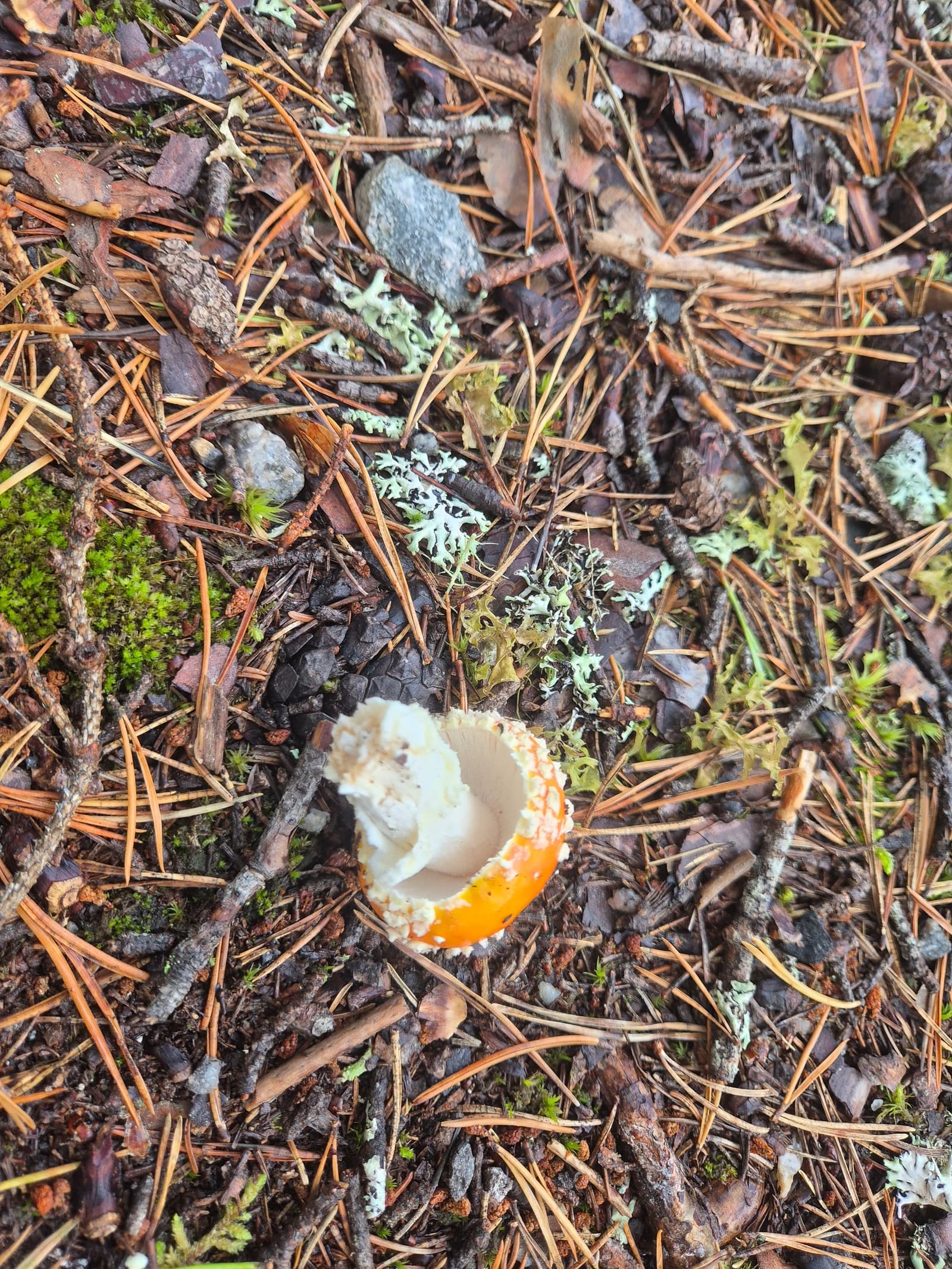 Photograph submitted by the reader