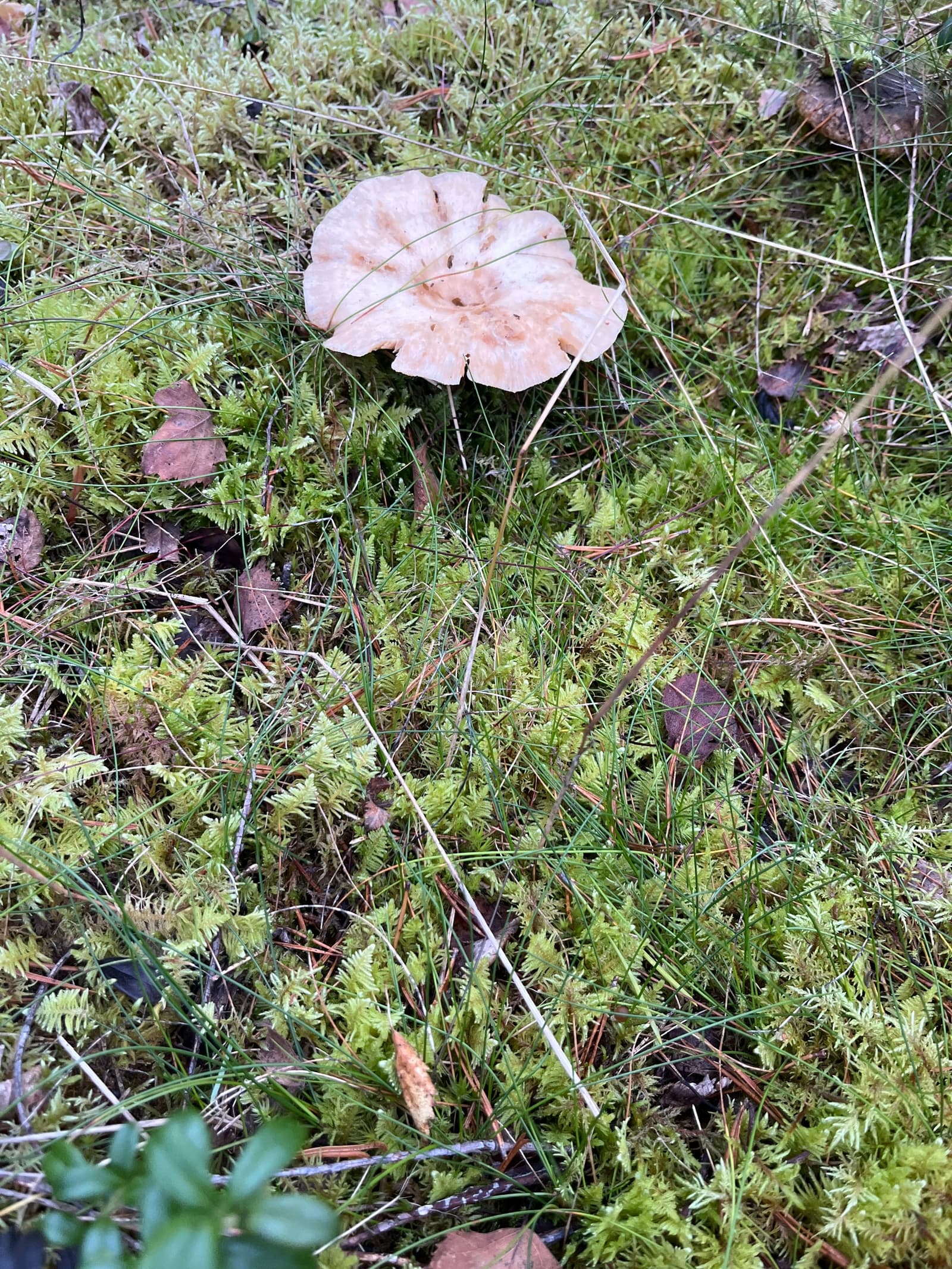 Photograph submitted by the reader