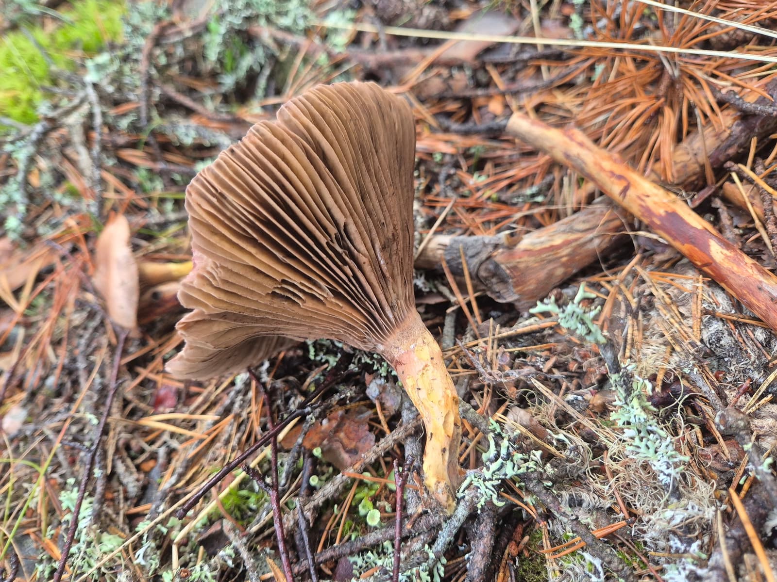 Photograph submitted by the reader