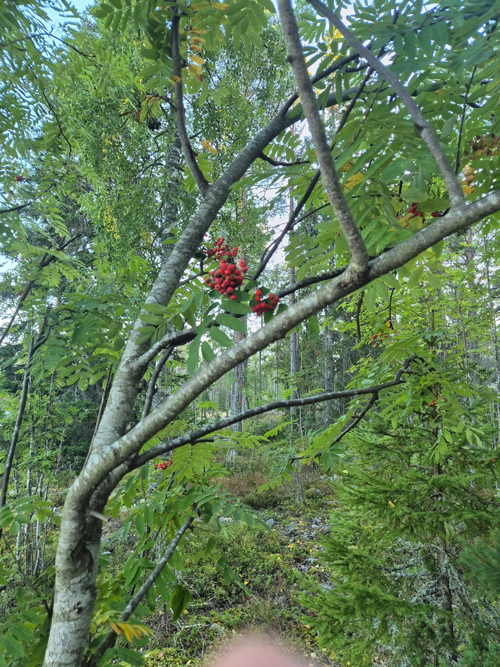 Photograph submitted by the reader