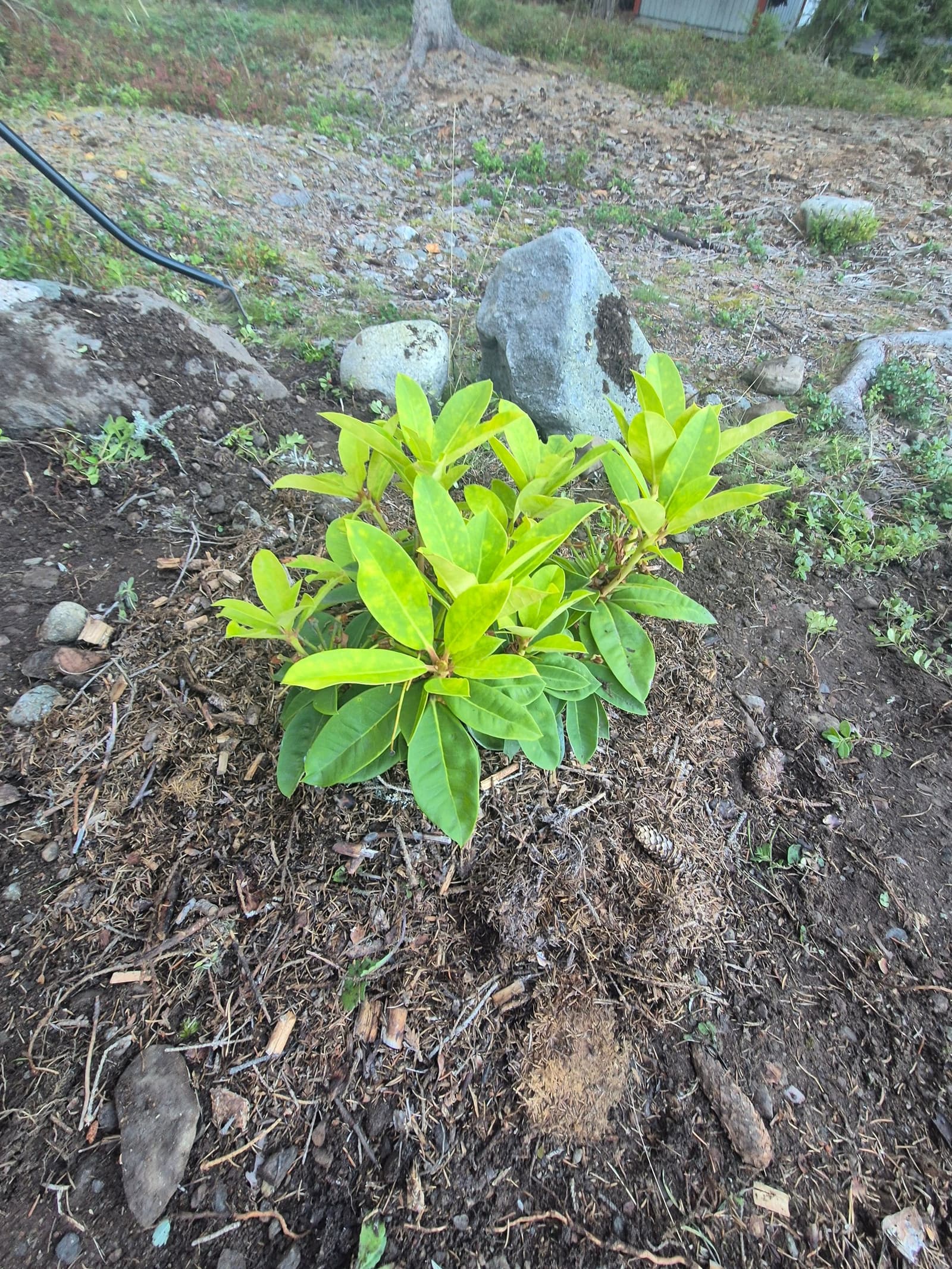Photograph submitted by the reader